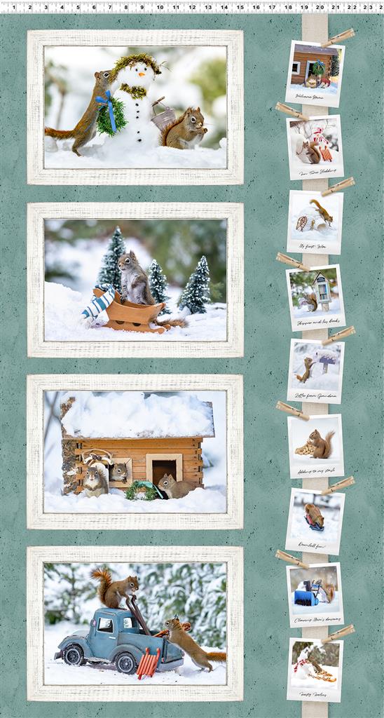 The Secret Life Of Red Squirrels